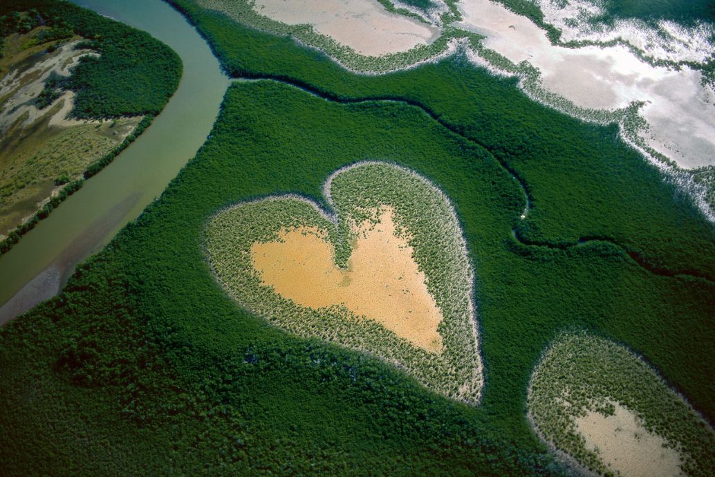 les plus belles photos de Yann Arthus-Bertrand en accès libre et gratuit